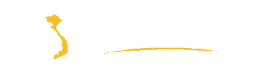 Sea Việt